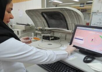 راه‌اندازی ۱۵ هسته پژوهشی جدید در دستورکار ستاد علوم شناختی