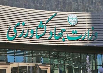 سرپرست معاونت توسعه بازرگانی منصوب شد