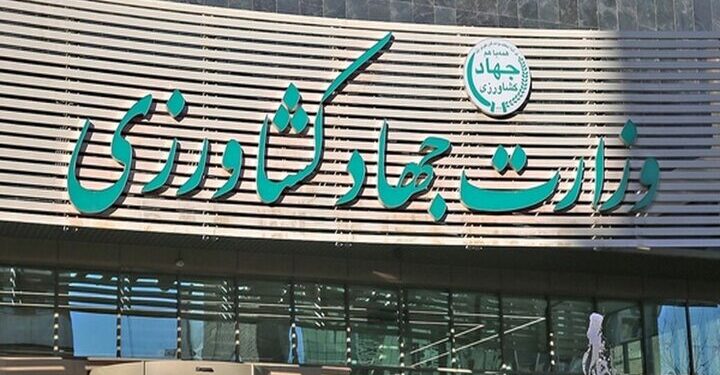 سرپرست معاونت توسعه بازرگانی منصوب شد